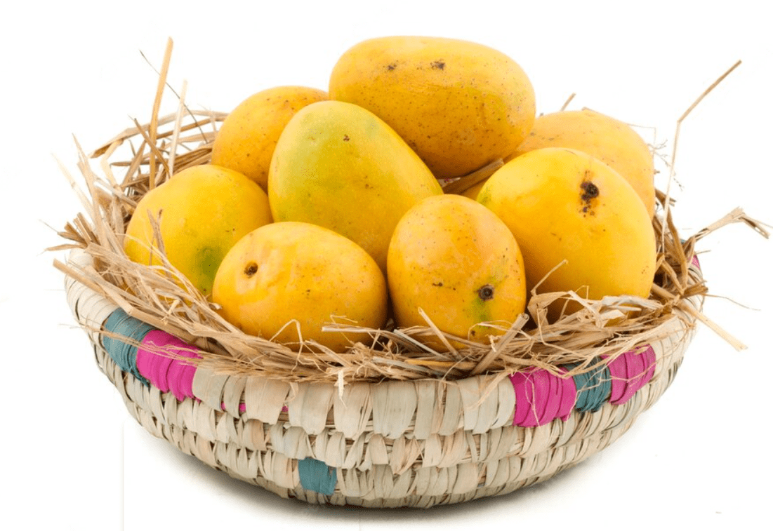 mango fruit