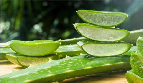 Aloevera