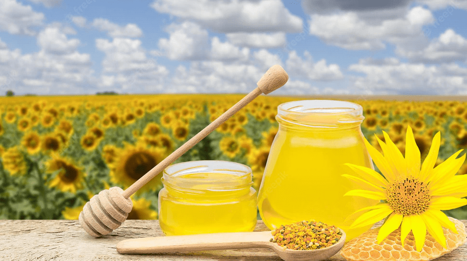 Sunflower farming benefits