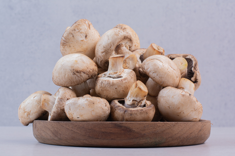 mushroom kheti