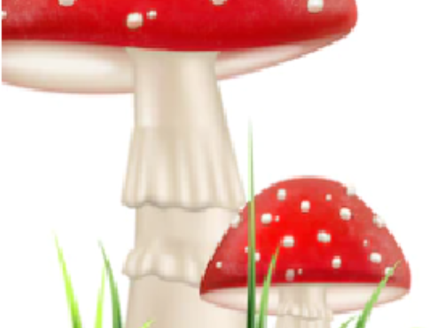Screenshot (12)