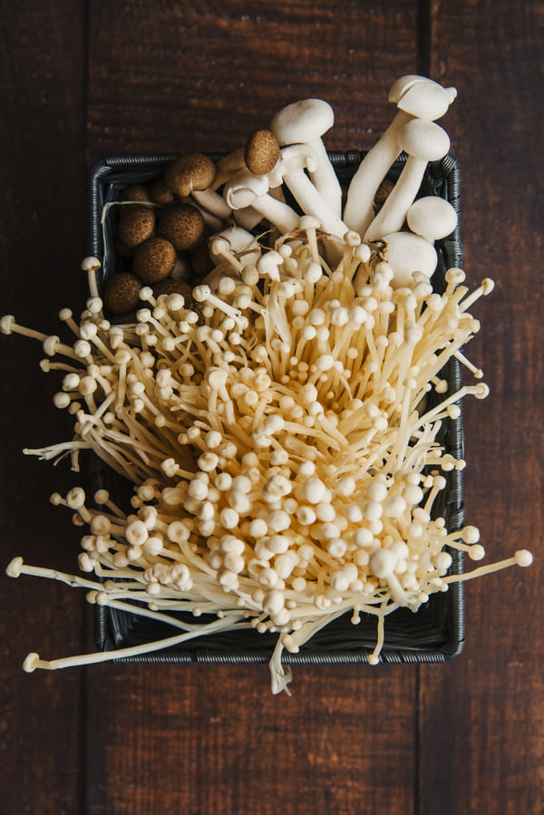 types of Mushroom