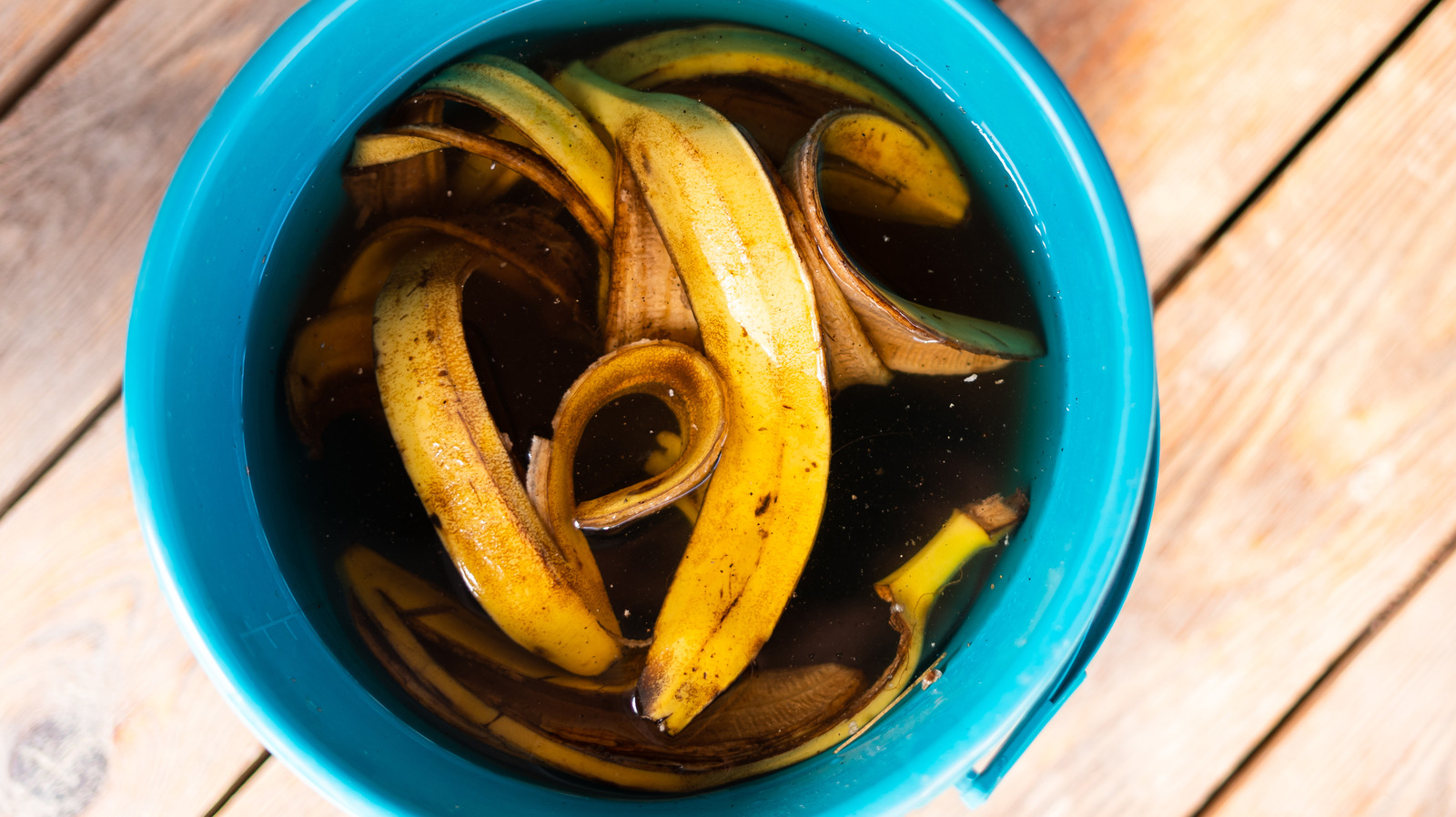 banana peel