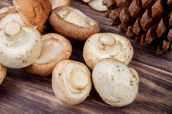mushroon farming 