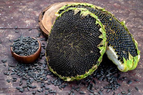 sunflower seeds