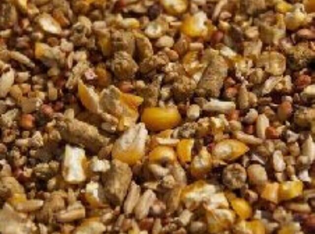 animal-feed-1625113826-5878947