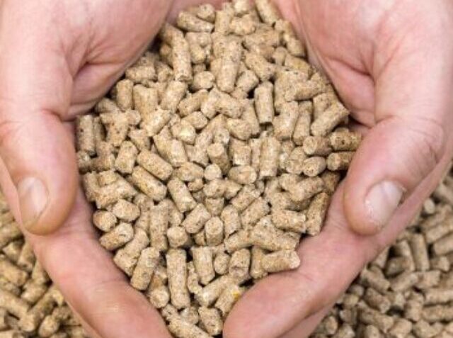 Hands Hold Granules Of Animal Feed. Food For Animals.