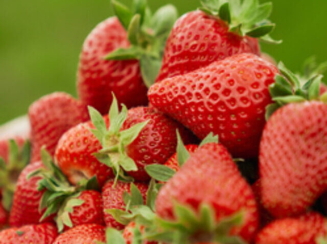 Wicker basket with fresh red strawberry.