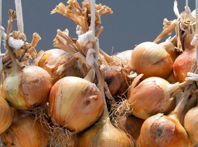 Storing-Onions