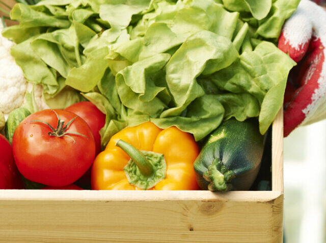Close up of box with ripe vegetables