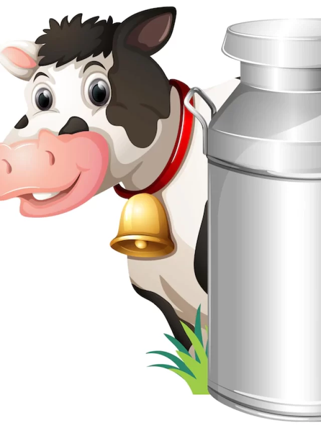 दूध शेड ( मिल्क पार्लर ) के लिए दुग्ध खलिहानकैसे होना चाहिए।
