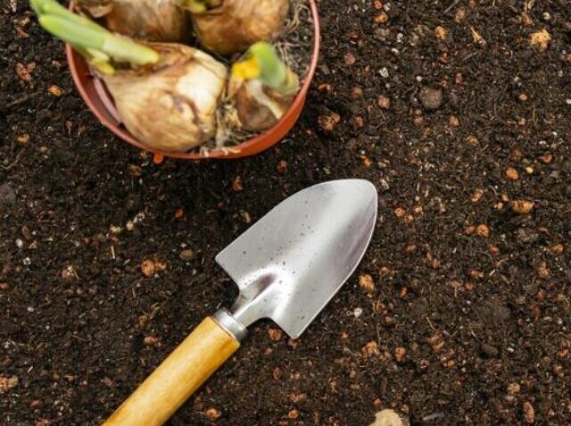 top-view-soil-gardening-tools(1)