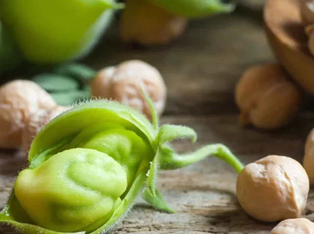 chickpeas-information-faqs-5