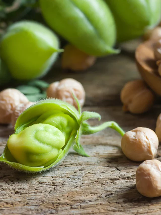 भारत में महत्वपूर्ण देशी या भूरे चने की किस्में कौन सी हैं?